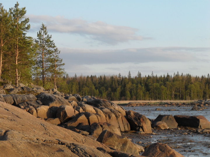 SDC11153.JPG