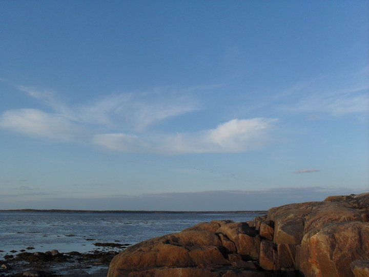 SDC11154.jpg