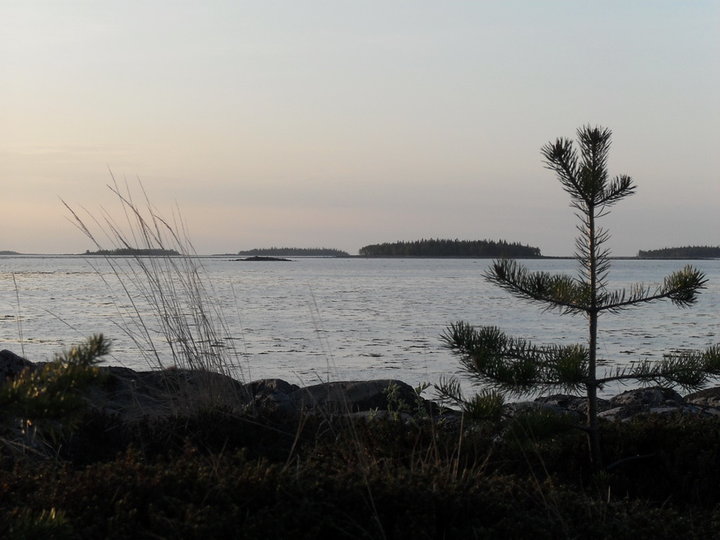 SDC11163.jpg