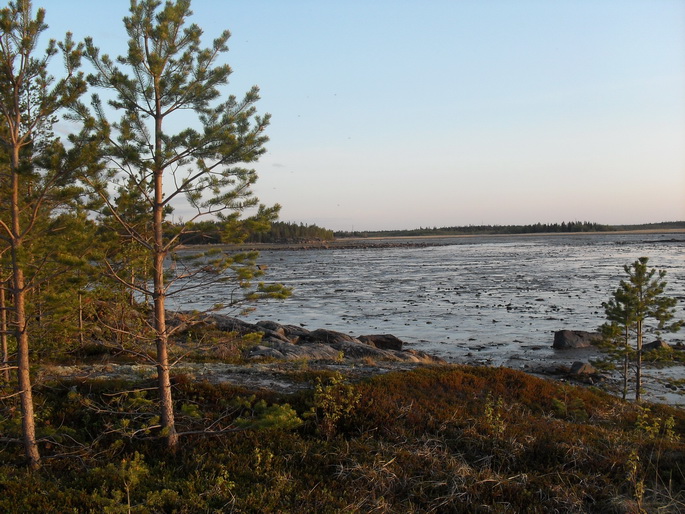 SDC11164.JPG