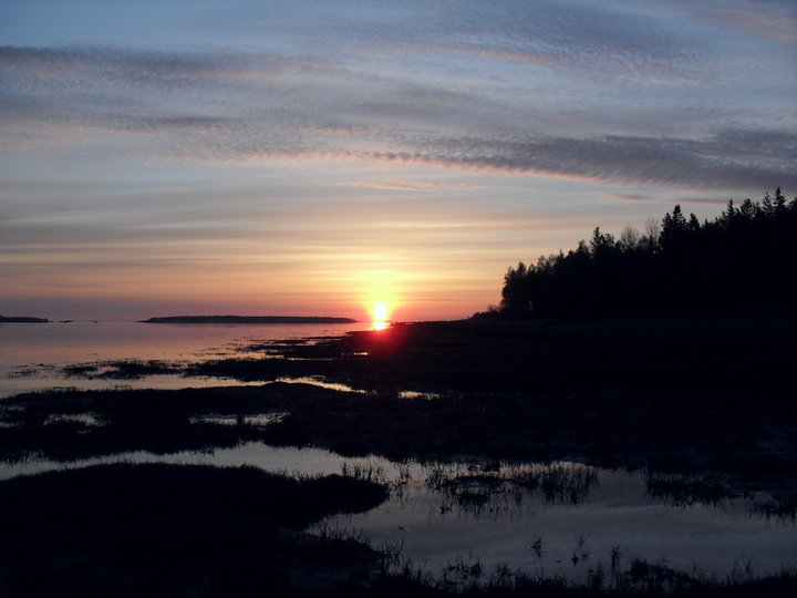 SDC11211.jpg