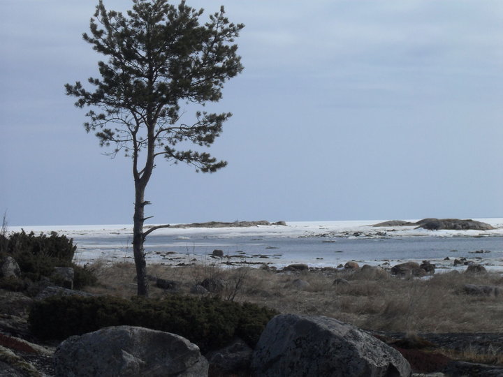 SDC10815.JPG