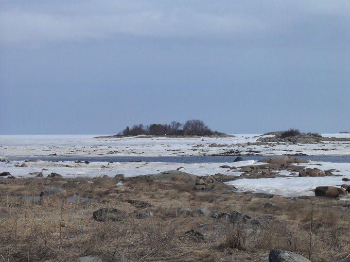 SDC10823.JPG