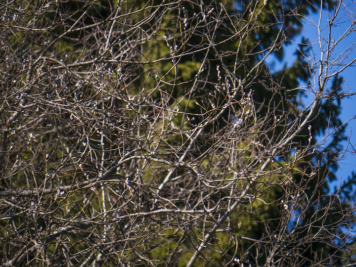 P1300048.jpg (1.85 МБ) 3628 просмотров P1300048.jpg