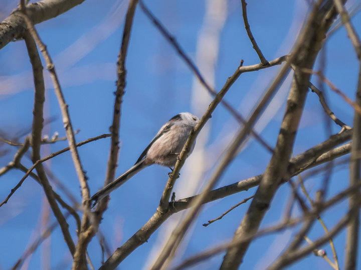 P1300045.jpg (710.85 КБ) 3628 просмотров P1300045.jpg