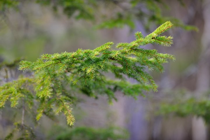 AAF_5323-1.jpg