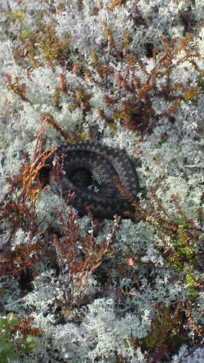 DSC02652.JPG