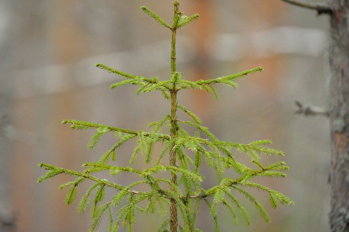 KMK_0455.jpg