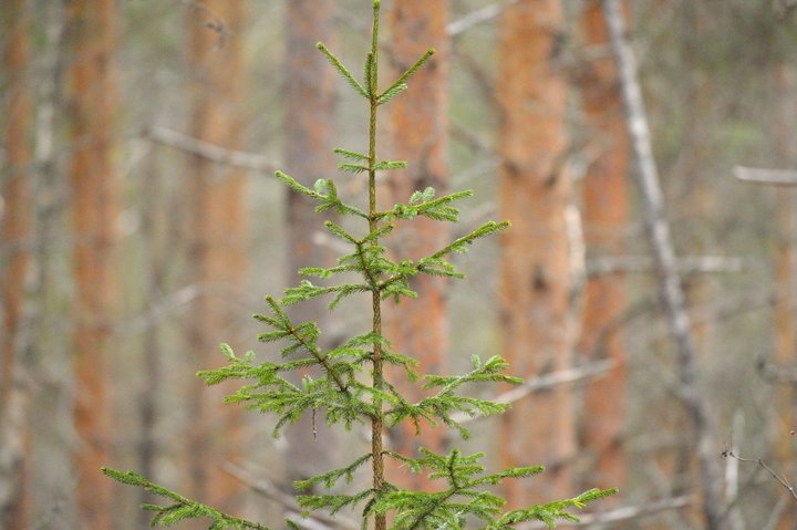 KMK_0457.jpg