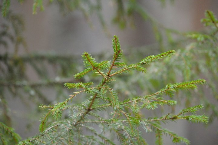 KMK_0459.jpg