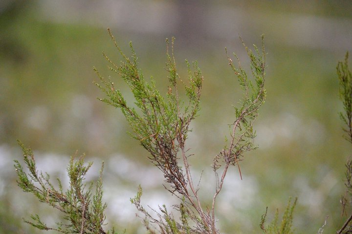 KMK_0468.jpg