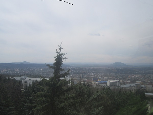 IMG_5911.JPG