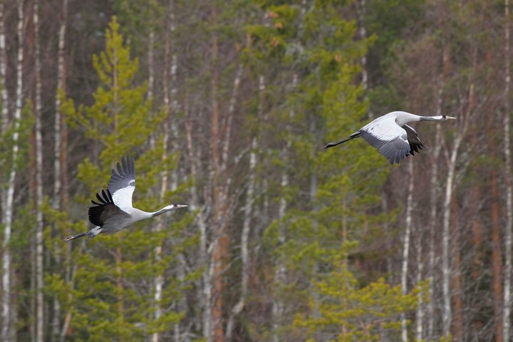 KMK_0079.jpg