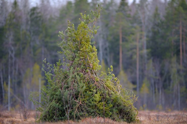 KMK_0252.jpg
