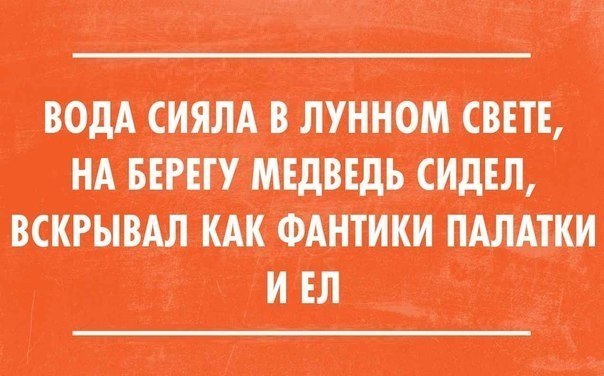 медв.jpg