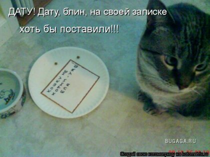 full.JPG