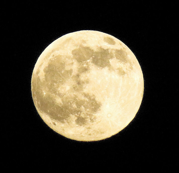 IMG_0238.JPG