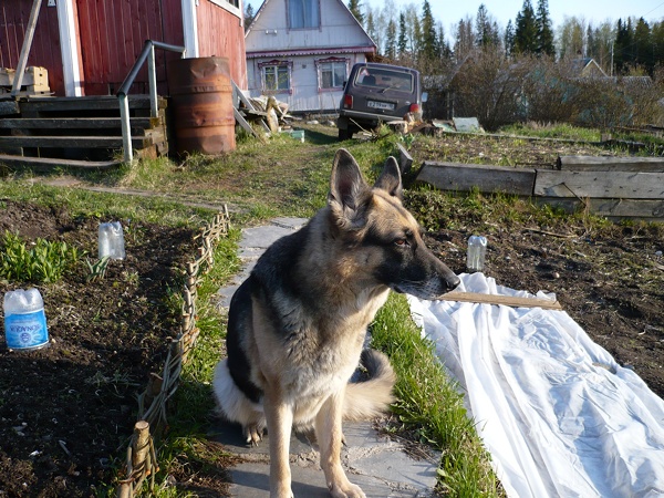m_P1000255.jpg