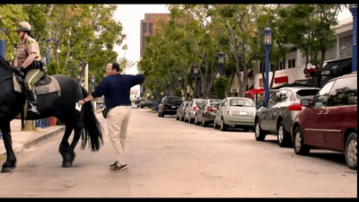 11357080.gif