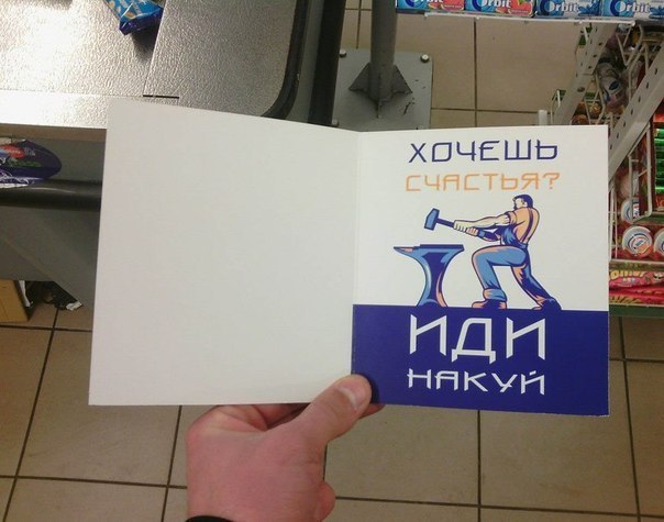 11278708.jpg