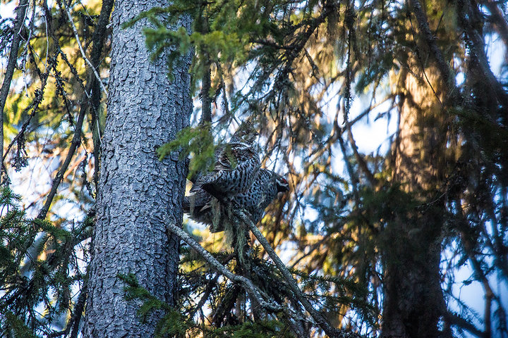 M25A119299.jpg (758.36 КБ) 4635 просмотров M25A119299.jpg