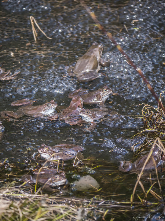 P1310765.jpg