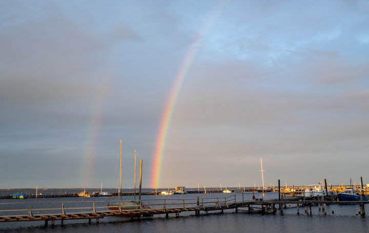DSC_0654.jpg