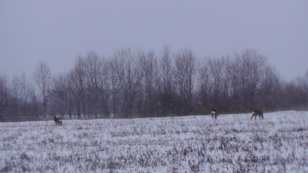 S1040004.JPG