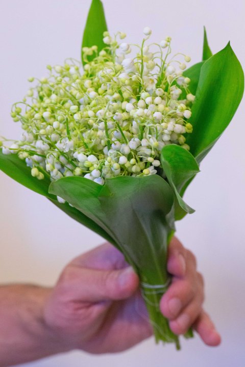 A42Z1238.jpg (430.96 КБ) 3738 просмотров A42Z1238.jpg