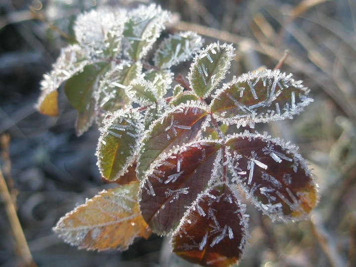 PA210035.JPG