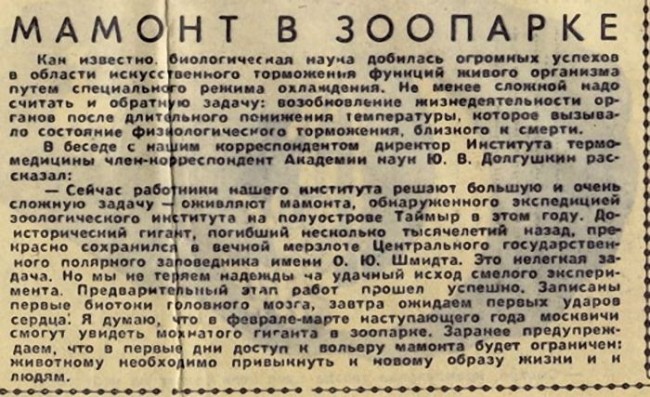 gazeta019.jpg