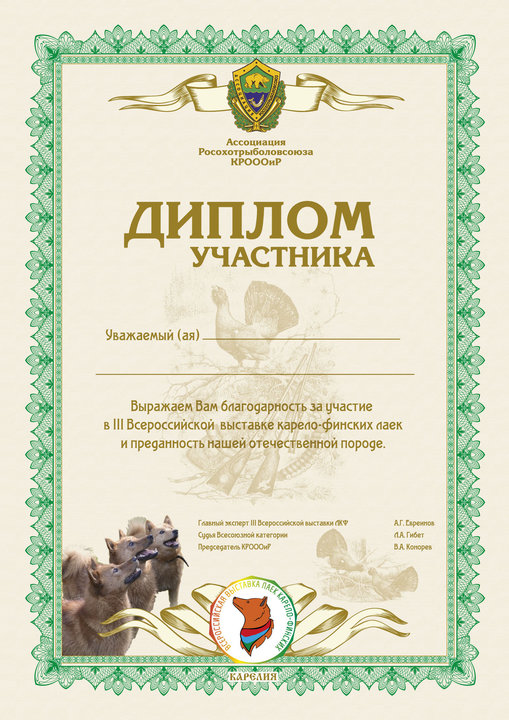 Диплом участника2.jpg