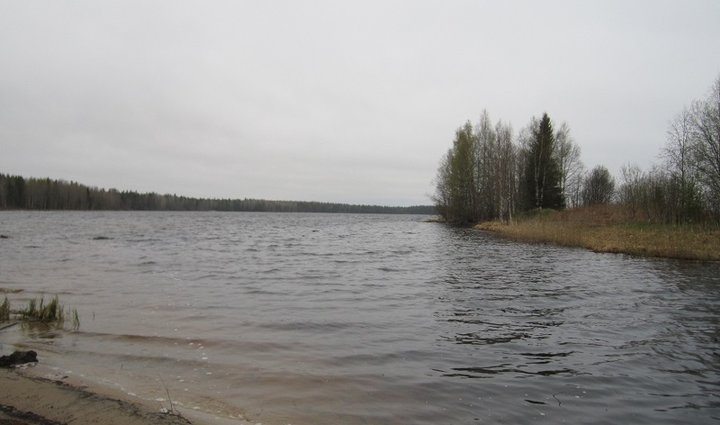 IMG_8498.JPG