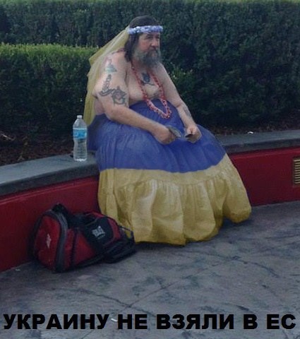 u-y1-OByXzo.jpg