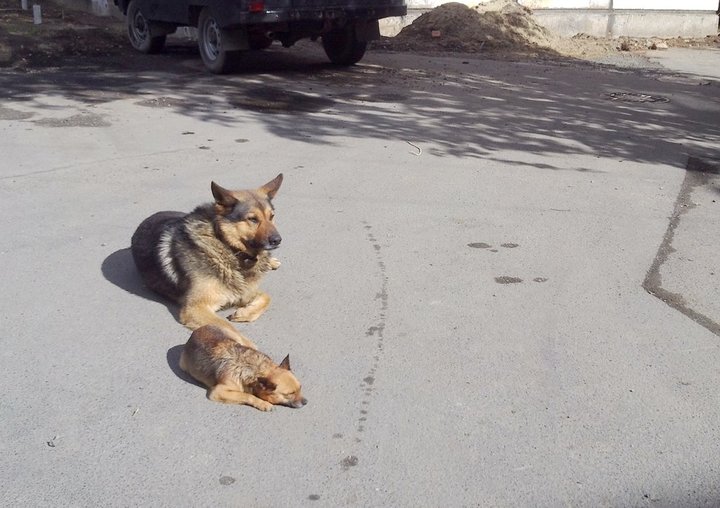 Друзья1.jpg