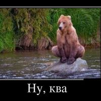 Мишка Ква.jpeg