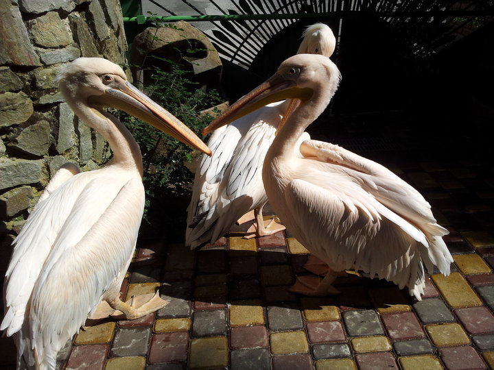 20150705_094336.jpg
