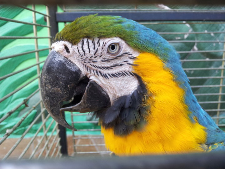 20150705_095310.jpg