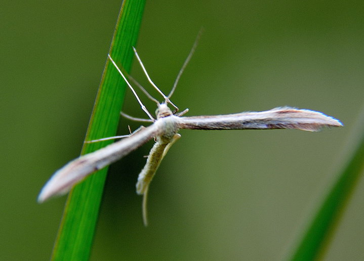 DSC_2514.jpg