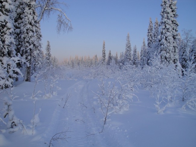 DSC001351.JPG