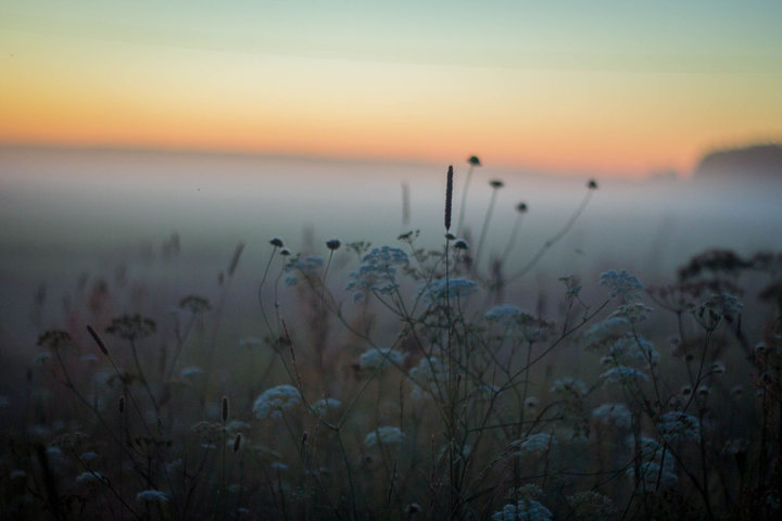 _MG_7102.jpg
