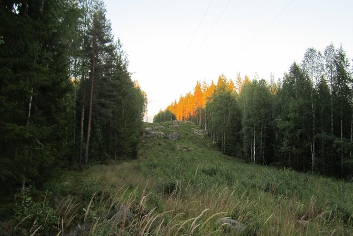 просека.JPG