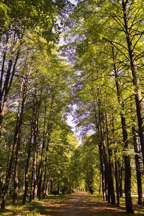 image.jpg (1.22 МБ) 3829 просмотров image.jpg