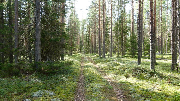 P1160440.JPG