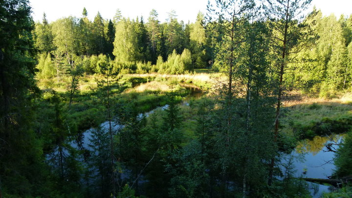 Форелевая речка.