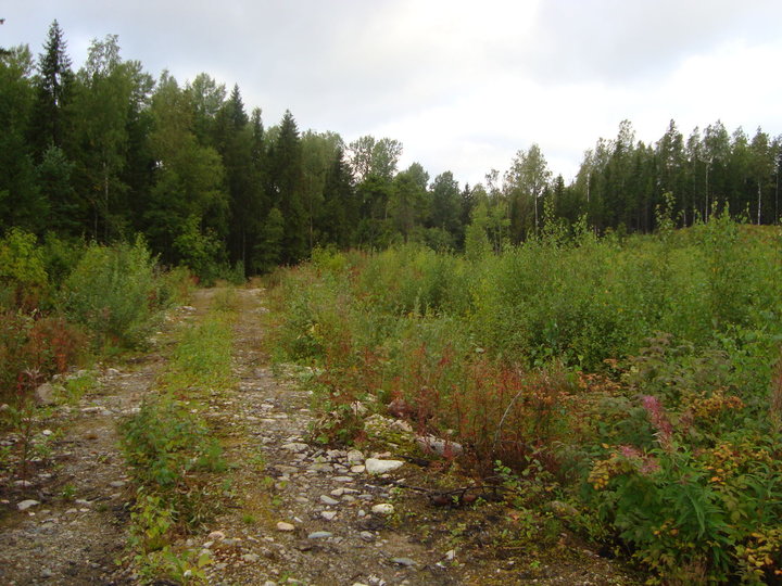 DSC04345.JPG