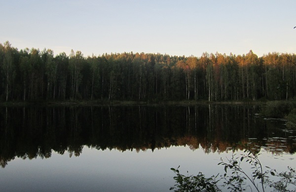 IMG_1401.JPG