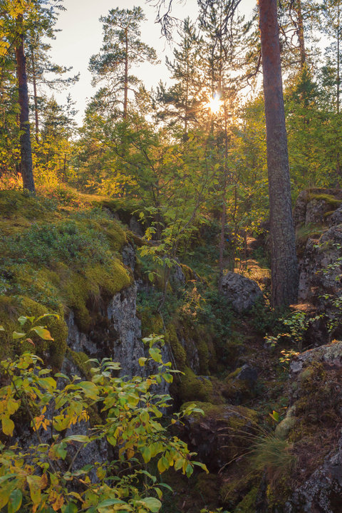 _MG_8102.jpg