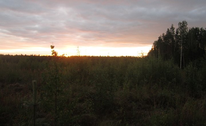 IMG_1648.JPG