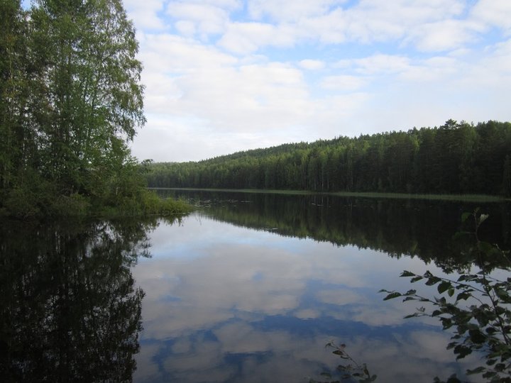 IMG_1685.JPG